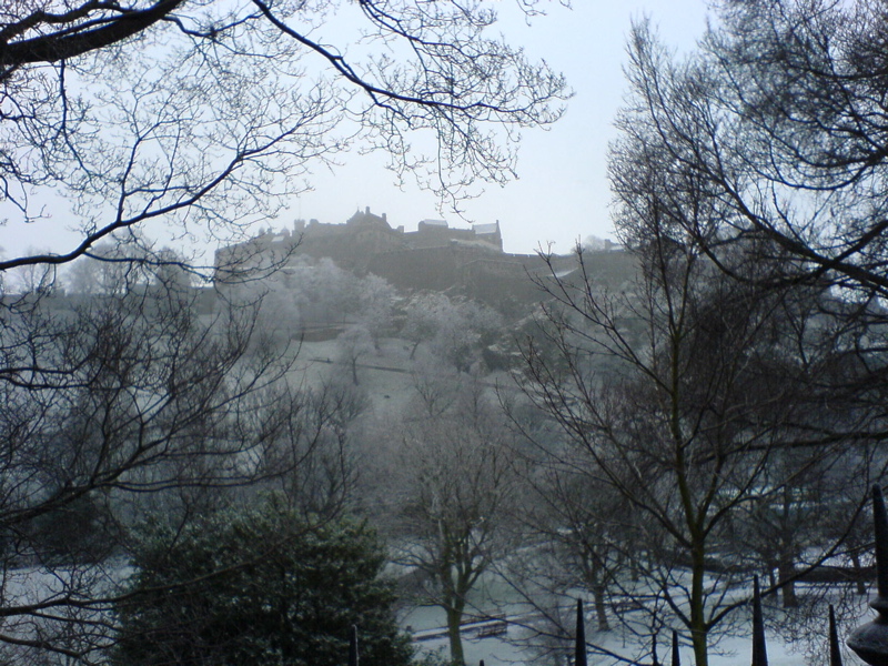 DSC00487.JPG