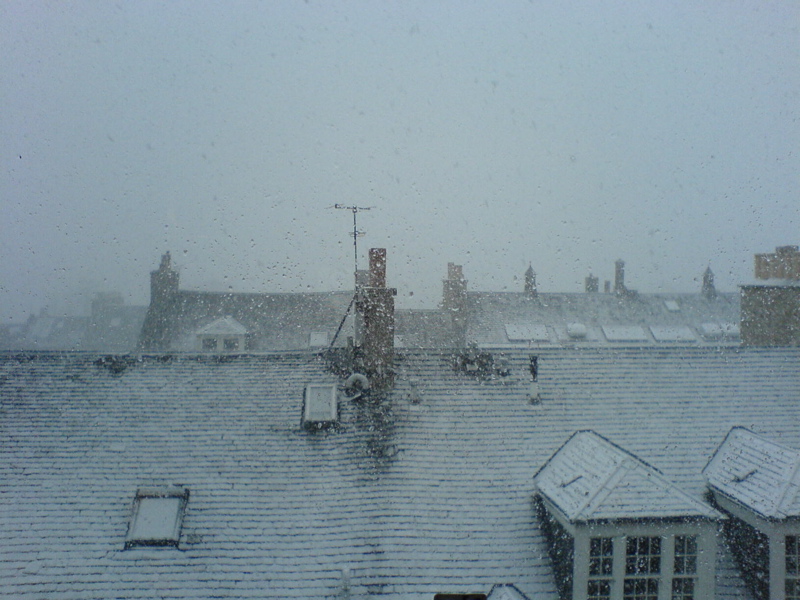 DSC00583.JPG