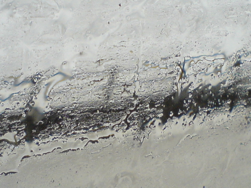 DSC00668.JPG