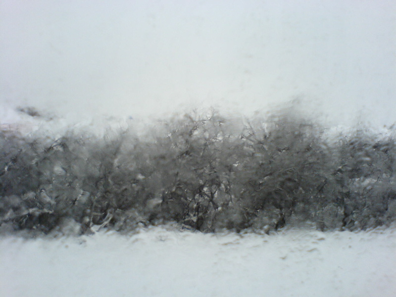 DSC00671.JPG