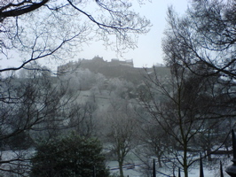 DSC00487.JPG