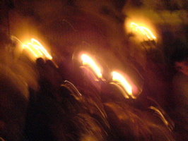 DSC00519.JPG