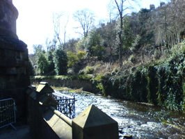 DSC00579.JPG