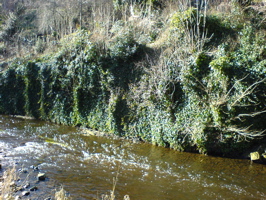DSC00581.JPG