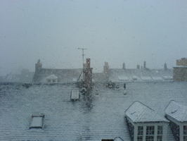 DSC00583.JPG