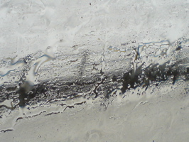 DSC00668.JPG