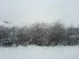 DSC00671.JPG