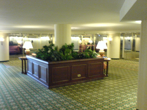 DSC00181.JPG
