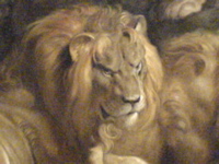 DSC00260.JPG