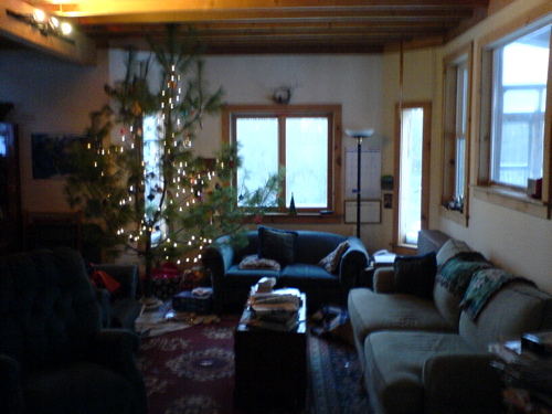 salamanderlivingroom.JPG