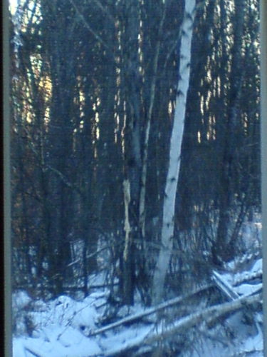 newenglandmorning.JPG