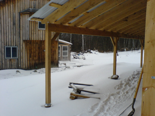 salamanderinthesnow.JPG