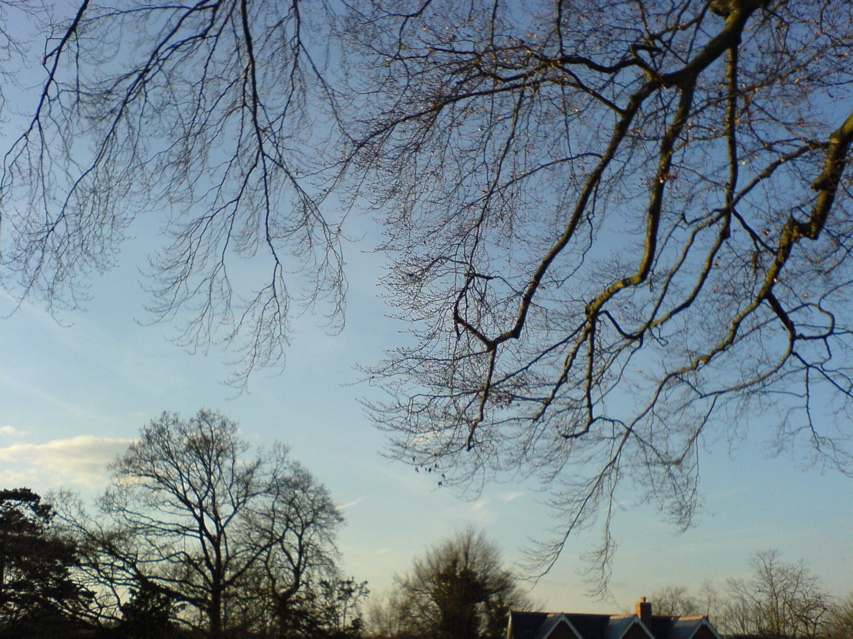 DSC00932.JPG