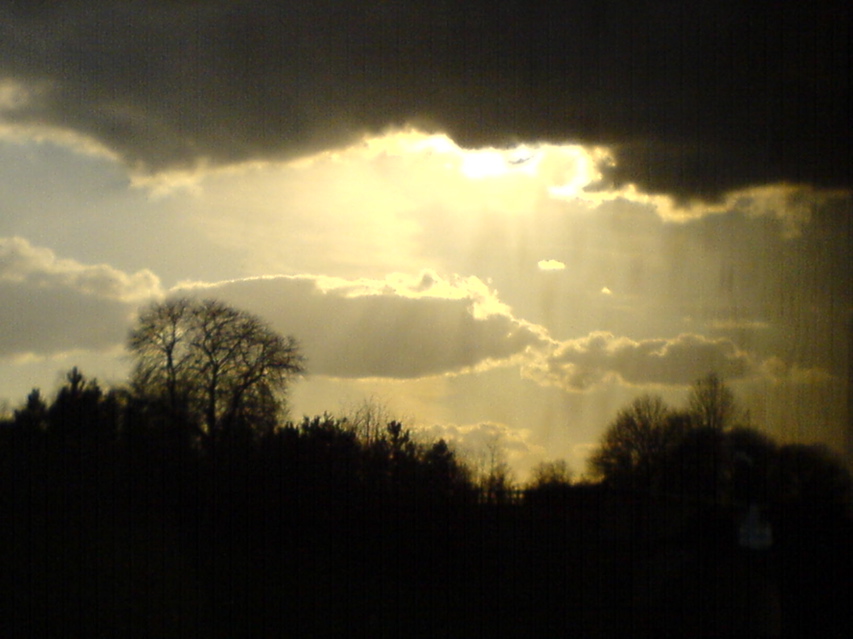 DSC00890.JPG