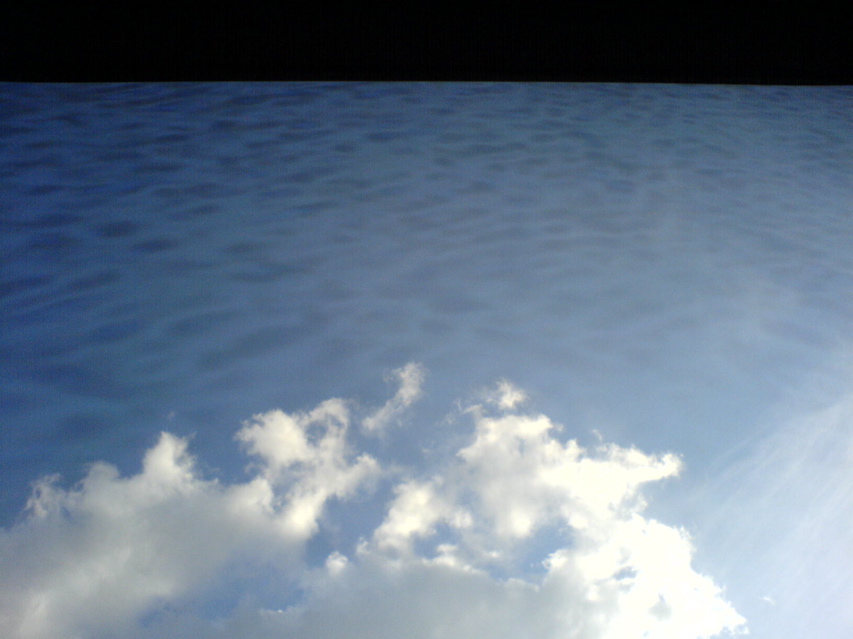 DSC00892.JPG