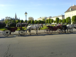 DSC03852.JPG