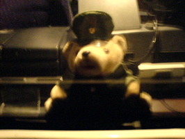 DSC02592.JPG