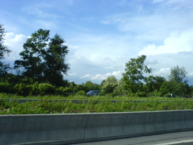 DSC01390.JPG
