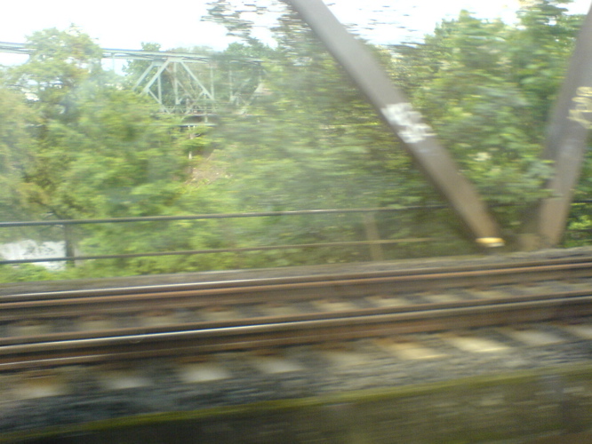 DSC01689.JPG