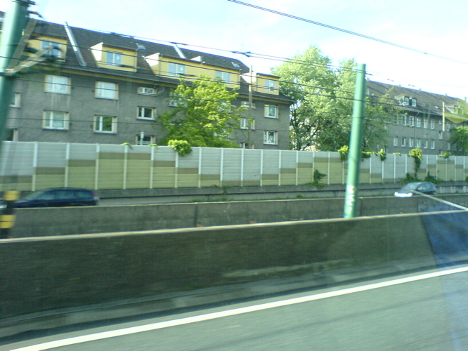 DSC01393.JPG