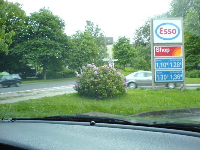 DSC01398.JPG