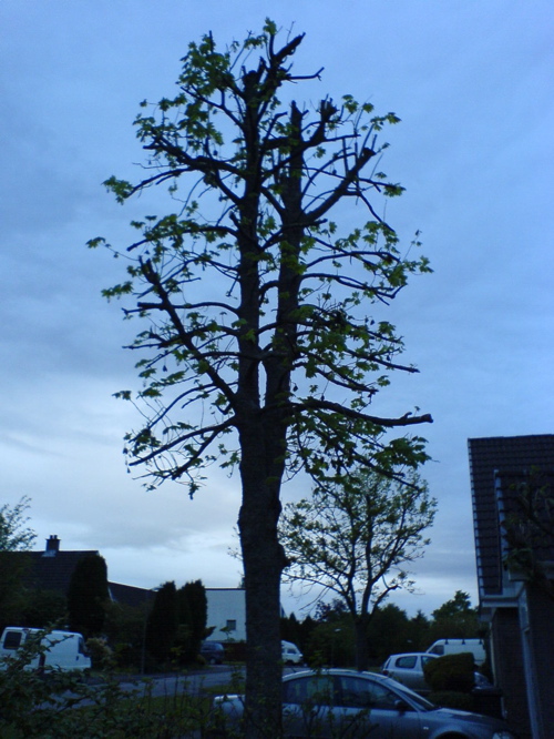 DSC01760.JPG