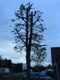 DSC01760.JPG